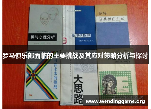 罗马俱乐部面临的主要挑战及其应对策略分析与探讨