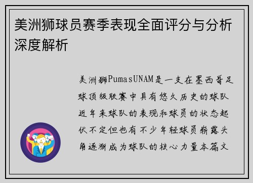 美洲狮球员赛季表现全面评分与分析深度解析