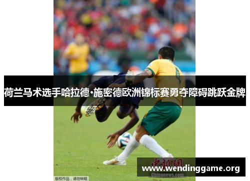 荷兰马术选手哈拉德·施密德欧洲锦标赛勇夺障碍跳跃金牌