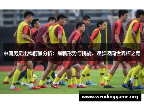 中国男足出线前景分析：最新形势与挑战，逐步迈向世界杯之路