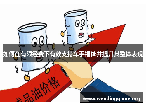 如何在有限经费下有效支持车手福祉并提升其整体表现