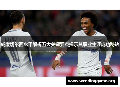 威廉切尔西水平解析五大关键要点揭示其职业生涯成功秘诀