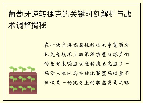 葡萄牙逆转捷克的关键时刻解析与战术调整揭秘