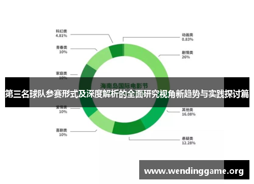 第三名球队参赛形式及深度解析的全面研究视角新趋势与实践探讨篇