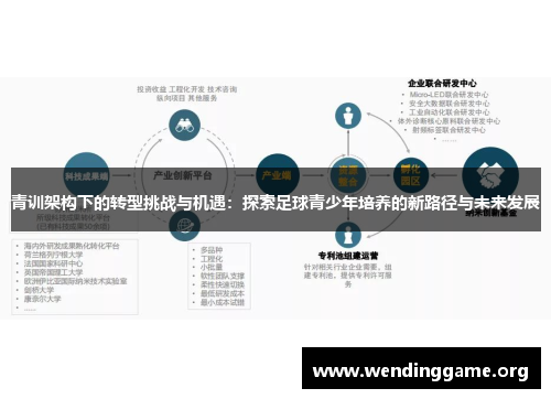 青训架构下的转型挑战与机遇：探索足球青少年培养的新路径与未来发展